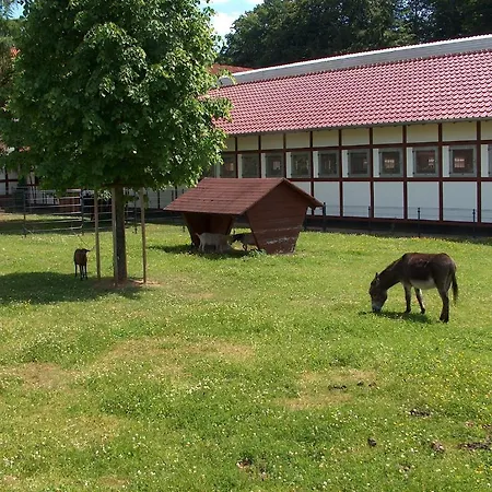 & Restaurant Gutsherrn-klause Dankerode (Hessen)