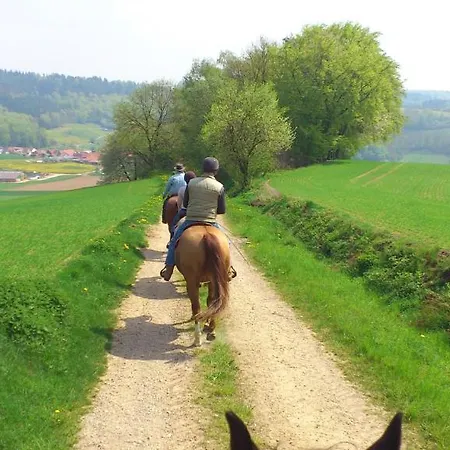 Hotel & Restaurant Gutsherrn-klause