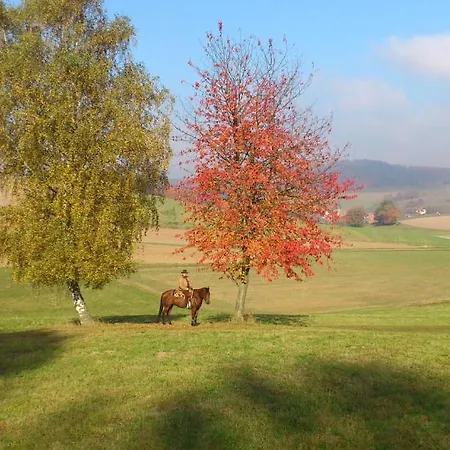 & Restaurant Gutsherrn-klause Hotel Dankerode (Hessen)
